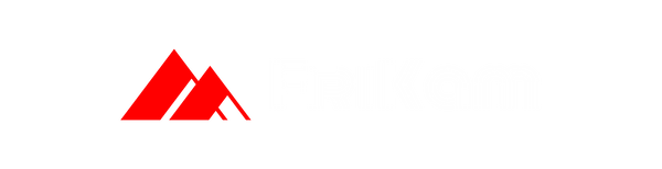 FriKam